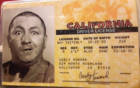 Curly Howard drivers license.jpg