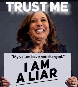 I am a liar - harris.jpeg