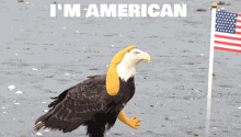 deal-with-it-americal-eagle.gif