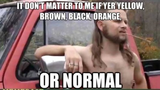 almost-memes-normal-politically-correct-race-redneck-6233368576.jpeg