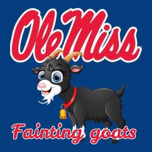 Ole Miss_fainting goats.jpeg