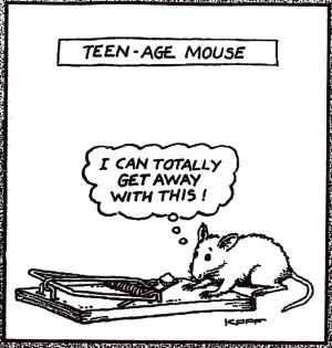 Teenage mouse.jpg