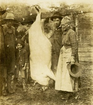 hog-killing-day-in-brasstown.jpg