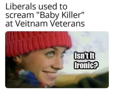 baby killers at veterans.jpg