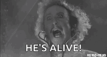 its-alive-gene-wilder.gif