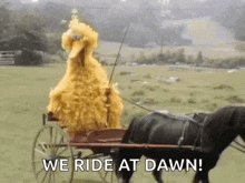 buggy-horse-and-buggy (1).gif