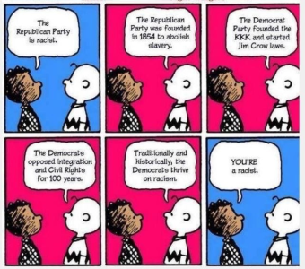 you're racist charlie brown.png