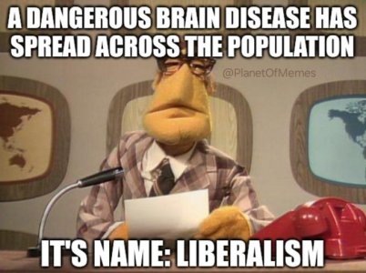 brain disease liberalism.jpeg