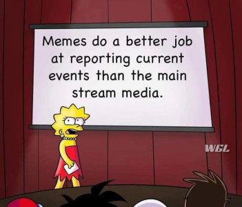 memes better than msm.jpg