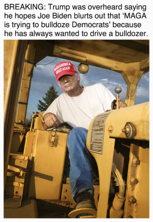 bulldozer trump.png