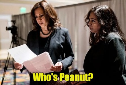 Who's peanut....jpg