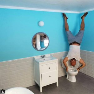 Toilet handstand.jpg