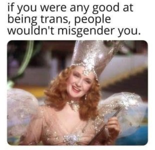 wouldn't misgender you.jpg