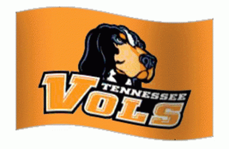 Vols.gif