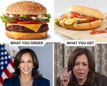 kamala your order vs what you get.jpg