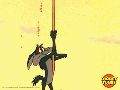 Trending GIF wtf cartoon omg huh facepalm sign looney tunes classics crisis realization realiz...gif