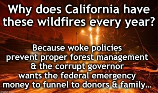 california fires every year.png