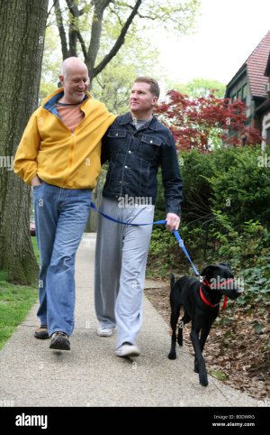 gay-male-couple-walking-their-dog-B0DWRG.jpg