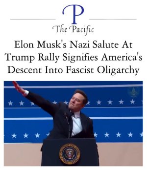 elon musk msm nazi salute.jpeg