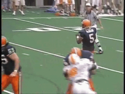 mcnabb_sack2 (1).gif