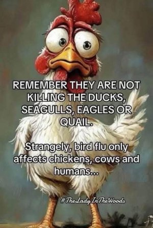 only chickens cows and humans.jpg