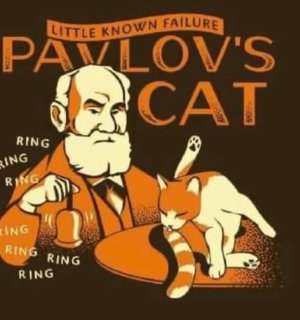 Pavlov's cat.jpg