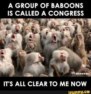 Congress of baboons.jpg