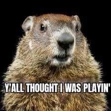 Groundhog humor.jpg