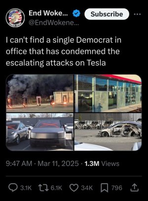 democrats not condemning tesla vandals.jpeg