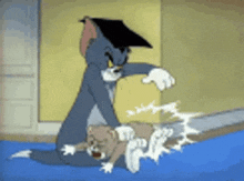 IMG_5278.gif