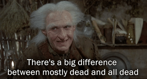 giphy-2327795233.gif