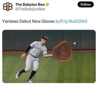 1743533937520.jpeg