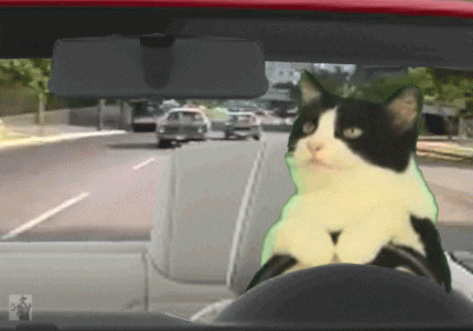 1743640648561.gif