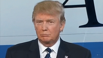 1743779234765.gif