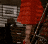 IMG_7519.gif