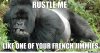 rustle-me-like-one-of-your-french-jimmies_o_2229941.jpg