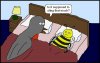 birds-bee-cartoon.jpg