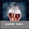 Bama Shark.jpg