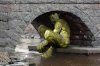 troll under a bridge.jpg