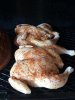 Spatchcocked Chicken2.jpg