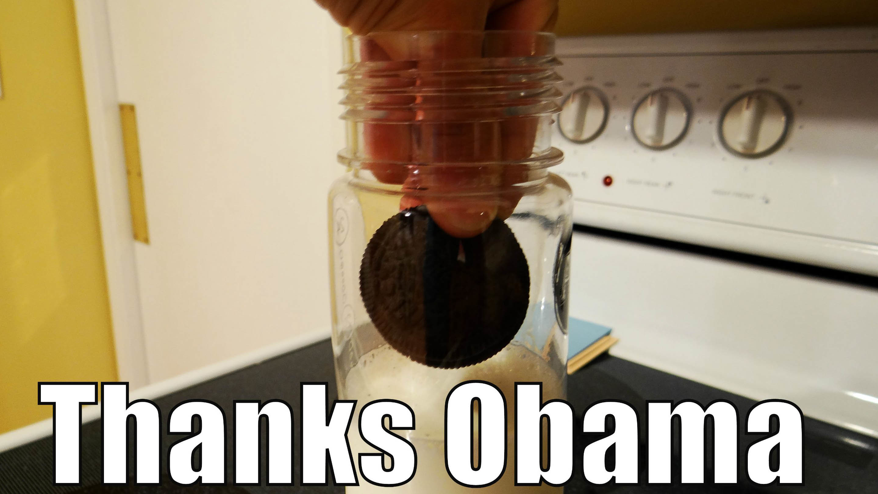 thankyouobama.jpg