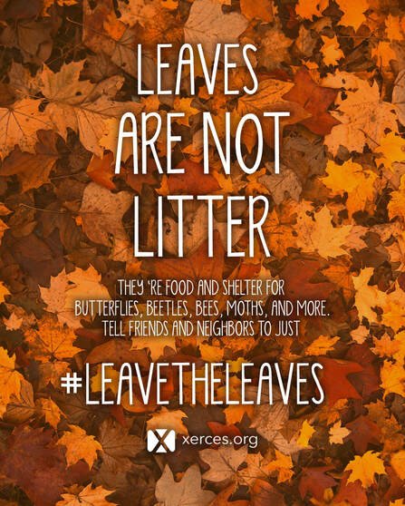 leaves-are-not-litter.jpeg