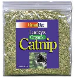 catnip.jpg