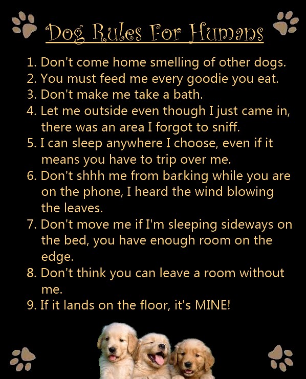 dog-rules-for-humans.jpg