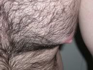 hairychest.jpg