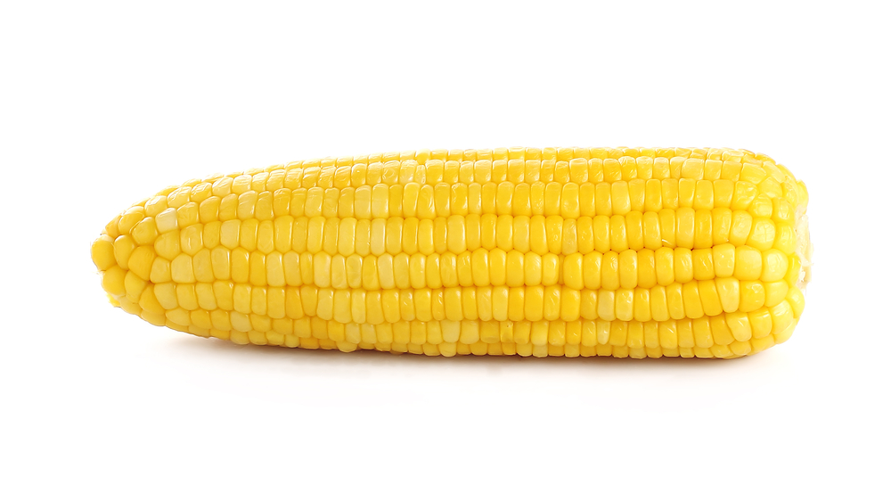 corncob_252342673.jpg