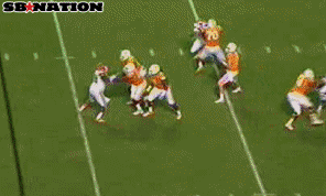 dooley.gif