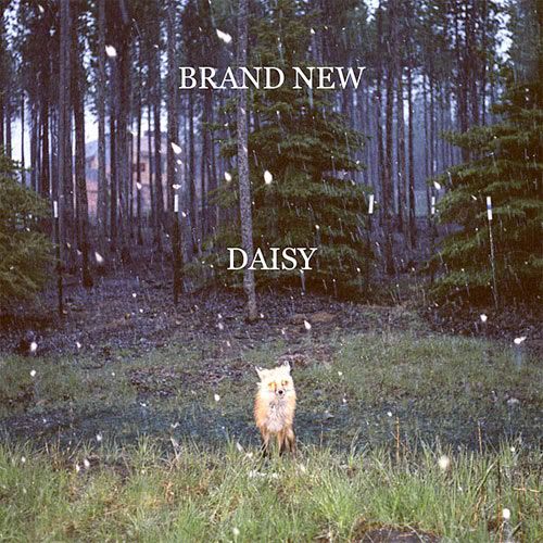 brand_new-daisy.jpg