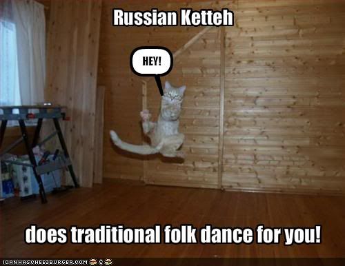 funny-pictures-russian-cat-does-a-f.jpg