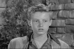 img_profile_Eddie_Haskell.jpg